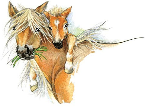 GRAZDesign Wandtattoo Pferd & Fohlen Kinderzimmer Mädchen | Wandsticker Pferdekopf braun | Deko Wanddeko selbstklebend Pferdesticker XXL - 79x57cm