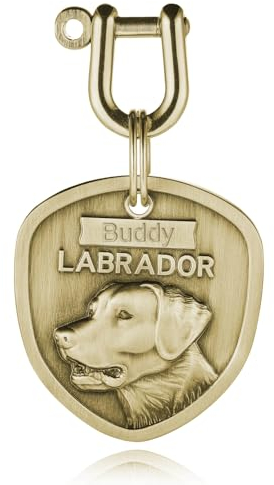 INBLUE Personalizzato Inciso Cane Nome Targhette per Animali Domestici Anti-Smarrimento Cane ID/Nome Tag Incisione in Ottone Tag Cane Regalo per Amante degli Animali Domestici - Labrador