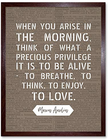 Artery8 Dictionary Inspiring Quote Marcus Aurelius Morning Precious Privilege Alive Art Print Framed Poster Wall Decor 12x16 inch Zitat Wand Deko