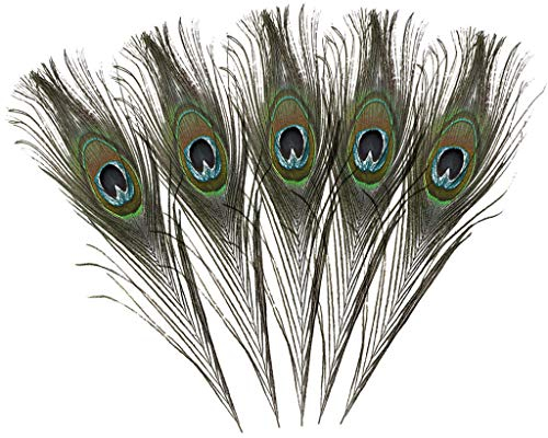 Saclerpnt Pfauenfeder, Federn Reine natürliche Pfauenfedern große Augen Pfauenfeder Vase Hauptdekoration DIY Zubehör Pfauenfeder(5PCS)