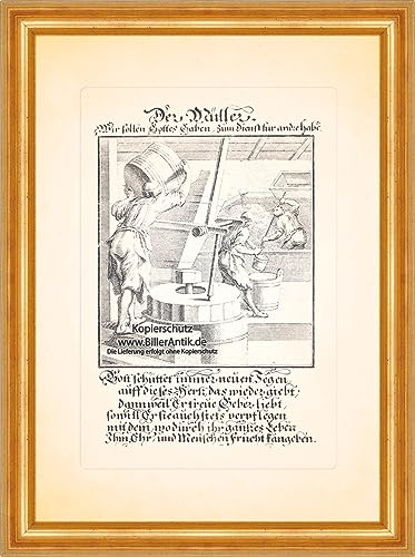 Il mugnaio il grano setacciando farina di cereali Christoph Weigel professioni 109 Incorniciato