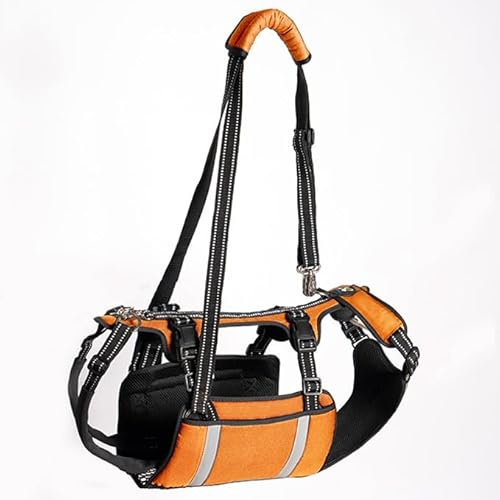 COODEO Mobility Hundegeschirr zum Heben, Notfall-Trageschlaufe, Haustier-Heckbeinstütze, Rehabilitationsweste, Hundetrage für ältere Hunde, Gelenkverletzungen, Arthritis (Orange, L)