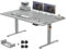 Devoko Höhenverstellbarer Schreibtisch 140x80cm mit Typ-C Ladeanschluss, Schreibtisch Höhenverstellbar Elektrisch, Mobiler Elektrisch Computertisch mit Kabel Management Tray, Grau