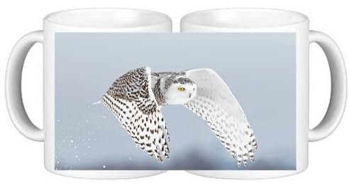 Set of 4 Snowy Owl Birds Ceramic Coffee Mugs in Smash Proof Box
