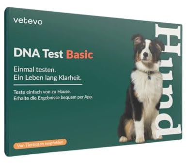 vetevo DNA Test Hund Basic Zur Rassenbestimmung, Gentest Hund auf 200+ Hunderassen, einfacher Hunde DNA Test für Zuhause, gratis Laborversand