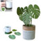 kikxj Monstera Untersetzer Set, Monstera 3D Gedruckt Untersetzer, Magnetische Untersetzer, Kreative Rutschfeste Untersetzer 3D Gedruckte Grüne Blätter, Untersetzer für Pflanzen