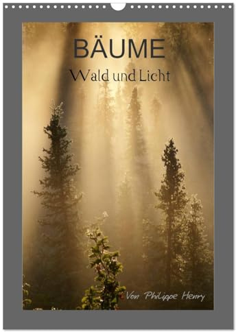 BÄUME (Wandkalender 2026 DIN A3 hoch), CALVENDO Monatskalender: Wald und Licht (CALVENDO Natur)