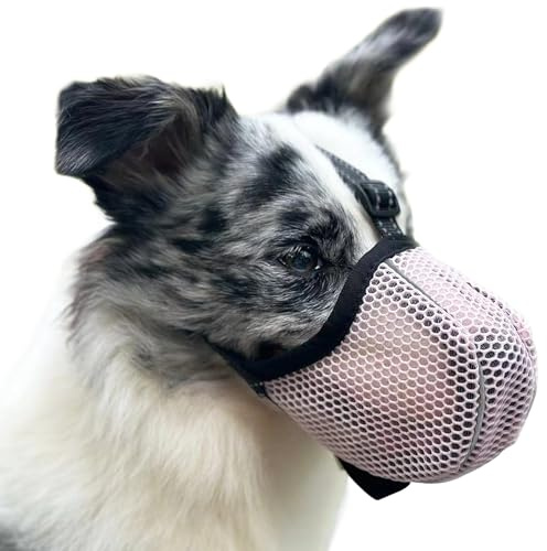 Maulkorb für Große Hunde, Prevent Kauen/Fressen/Beißen Hunde Maulkorb, Atmungsaktiv Reflektierende Einstellbare Maulkorb Mittlere Hund (Rosa, XL)