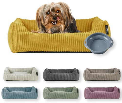 Rohrschneider Hundebett | für kleine Hunde | mit Hundekissen Cord | waschbarer Bezug | inkl. Futternapf (senf, 55 x 42 cm)