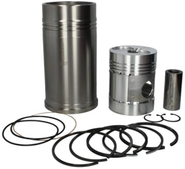 MAHLE 454 19 80 Motorblöcke