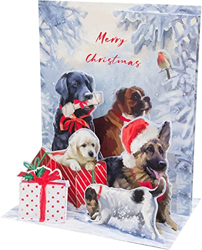 SOUND Pop Up 3D Weihnachten Karte PopShot Hunde Familie Christmas 18x13cm