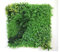 Jardín vertical plas-uv 1x1m Modelo 51