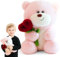 Peelanmall Ours en Peluche Cœur, Nounours Peluche Ours avec Rose, 28cm, Peluches Doudou Teddy Bear Idée Cadeau de Naissance Garçon Fille Anniversaire Noël Saint Valentin (Rose)
