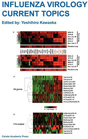 Influenza Virology: Current Topics