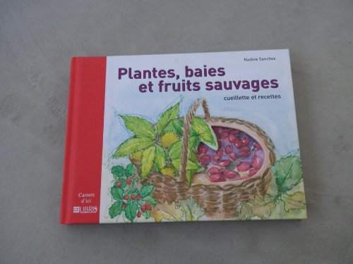 Plantes, baies et fruits sauvages: Cueillette et recettes