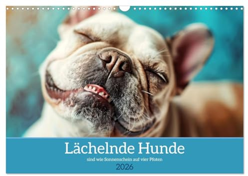 Lächelnde Hunde sind wie Sonnenschein auf vier Pfoten (Wandkalender 2026 DIN A3 quer), CALVENDO Monatskalender: Diesem Lächeln kann man nicht widerstehen! (CALVENDO Tiere)