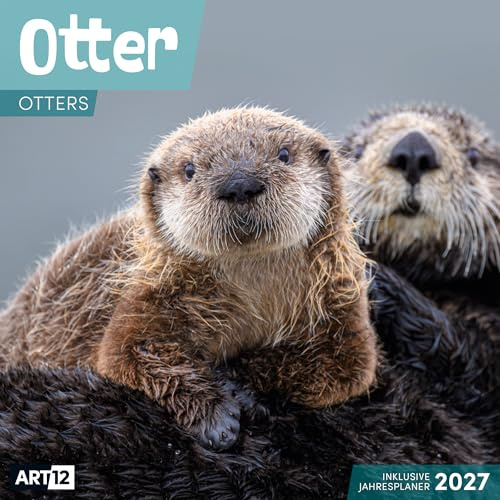 Otter Broschürenkalender 2027 - 30x30 - Art12 | Niedlicher Tier-Kalender im schlanken Hochformat (aufgeklappt 30x60 cm) | mit Eintrage-Kalendarium