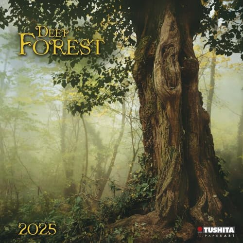 Deep Forest 2025: Kalender 2025 (Wonderful World)