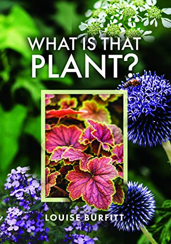 What is that Plant?: A Guide to Identifying 150 Garden Plants, Weeds & Wildflowers