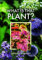 What is that Plant?: A Guide to Identifying 150 Garden Plants, Weeds & Wildflowers