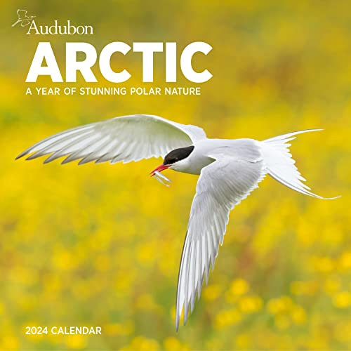 Audubon Arctic Wall Calendar 2024: A Year of Stunning Polar Nature
