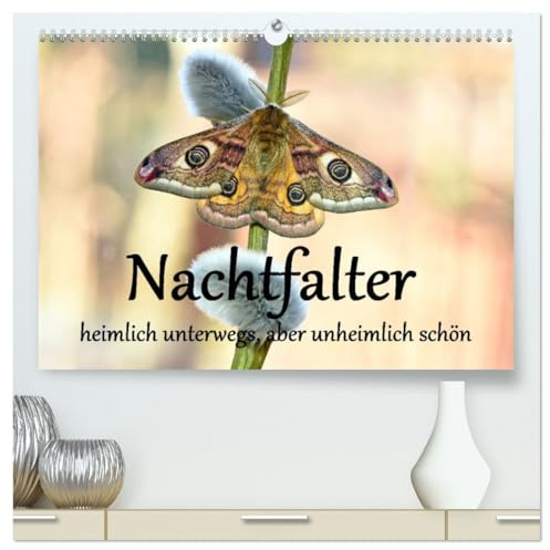 Nachtfalter - heimlich unterwegs, aber unheimlich schön (hochwertiger Premium Wandkalender 2026 DIN A2 quer), Kunstdruck in Hochglanz: Makroaufnahmen von wunderschönen Nachtfaltern (CALVENDO Tiere)