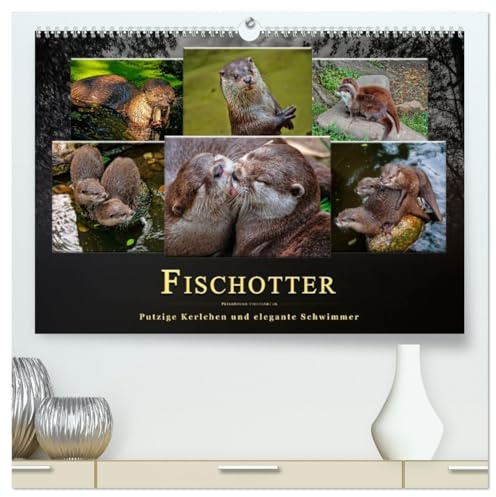 Fischotter - putzige Kerlchen und elegante Schwimmer (hochwertiger Premium Wandkalender 2026 DIN A2 quer), Kunstdruck in Hochglanz: Der Fischotter ... Tier einfach nur knuddeln. (CALVENDO Tiere)