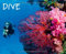 Dive 2014: Tauchsport international. Bilderlegenden dtsch.-engl.