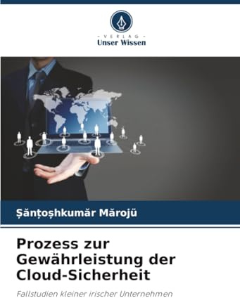 Prozess zur Gewährleistung der Cloud-Sicherheit: Fallstudien kleiner irischer Unternehmen