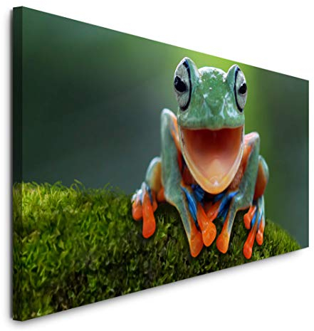 Paul Sinus Art GmbH Frosch auf Moos 120x 50cm Panorama Leinwand Bild XXL Format Wandbilder Wohnzimmer Wohnung Deko Kunstdrucke