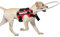 Redxiao Ungiftig Komfortabel Anti-Kollisions-Blindhund Anti-Kollisionsring, Blind Dog Harness Weste, Tier für Katze(MYFZ02 red, S)
