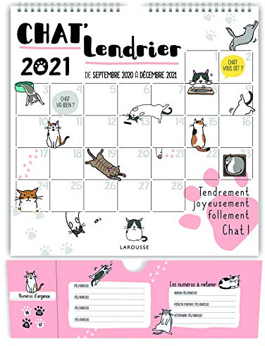 Chat'lendrier 2021: De septembre 2020 à décembre 2021