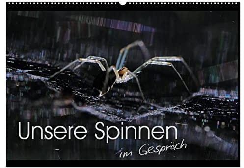 Unsere Spinnen - im Gespräch (Wandkalender 2025 DIN A2 quer), CALVENDO Monatskalender