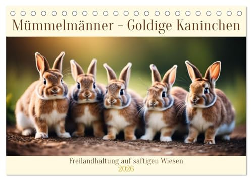 Mümmelmänner - Goldige Kaninchen (Tischkalender 2026 DIN A5 quer), CALVENDO Monatskalender: Freilandhaltung auf saftigen Wiesen (CALVENDO Tiere)