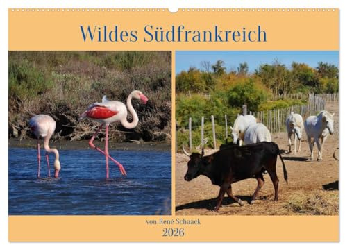 Wildes Südfrankreich (Wandkalender 2026 DIN A2 quer), CALVENDO Monatskalender: Einzigartige Tiere und Vögel der Provence (CALVENDO Tiere)