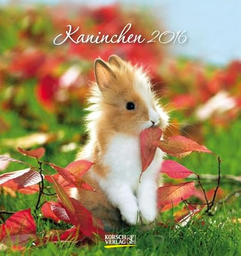 Kaninchen 2016: aufstellbarer Postkartenkalender
