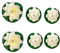 HIQE-FL Schwimmende Blumen,künstliche Seerosen Schwimmend,Schwimmende Seerose Klein,Chwimmende Aquarium Pflanzen,Lotus Blume Deko,Künstliche Teichpflanzen Klein（6 Stück）