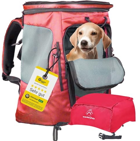 Wanderpfote Daypack Hunderucksack bis 12kg - Größe M, Modell Daypack, Rot - Premium Rucksack für mittelgroße Hunde mit Höhenverstellbarem Tragesystem und viel Raum für den Hund