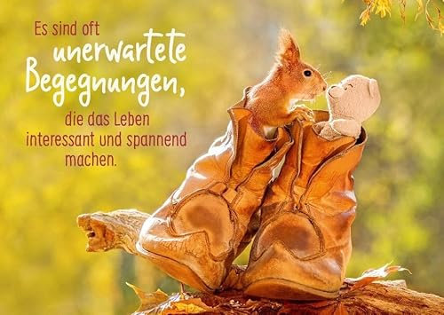 Gutsch Verlag Kreative Tier-Postkarte mit niedlichem Eichhörnchen: Unerwartete Begegnungen – Perfekt für alle Tierliebhaber, um Freunden und Familie eine Freude zu machen. Hochwertiger Druck!