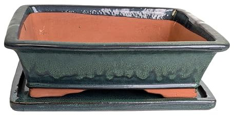 Glazed Ceramic Bonsai Pots with Matching Drip Trays (Bottle Green, 38cm)