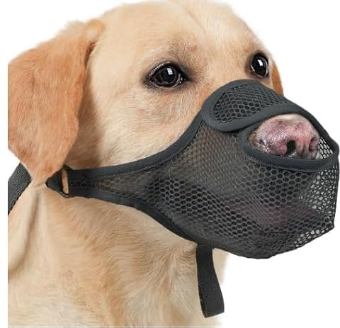 ZYEKIU Maulkorb Mittlere Hundes Nylon Maulkorb Kleine Hunde Atmungsaktiv | Maulkorb Kleine Hunde Netz, Maulkorb für Große Hunde Einstellbar, Maulkorb Hund Atmungsaktiv, für Kleine Mittlere S, Schwarz