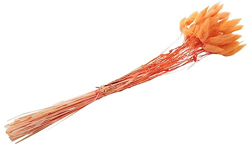 Fuhjythy 60Pcs Fall Dried Flowers Bunny Dried Flowers Lagurus Ovatus Tail Grass for Dried Floral(Orange)