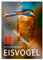 Schillernder Eisvogel (Wandkalender 2025 DIN A2 hoch), CALVENDO Monatskalender