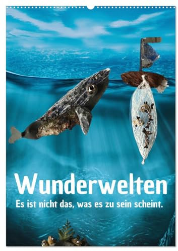 Wunderwelten - Es ist nicht das, was es zu sein scheint. (Wandkalender 2025 DIN A2 hoch), CALVENDO Monatskalender