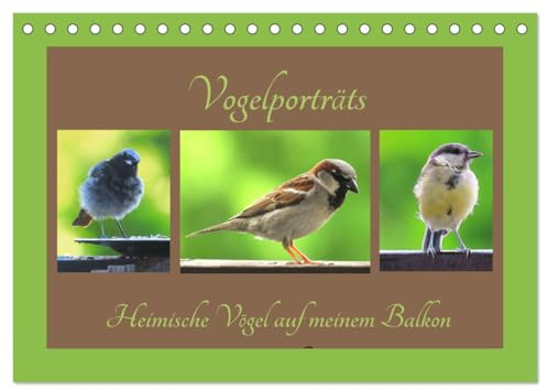 Vogelporträts - Heimische Vögel auf meinem Balkon (Tischkalender 2026 DIN A5 quer), CALVENDO Monatskalender: Freuen Sie sich über die kleinen Vogelgesellen aus Ihrem Garten (CALVENDO Tiere)
