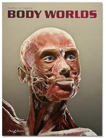 BODY WORLDS - The Original Exhibition (English): The Original Exhibition of Real Human Bodies