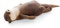 GDZTBS Otter Plüsch Handgelenkauflage, Niedliche Otter Federmäppchen Daunenfüllung Baumwolle Handgelenkstütze Kissen Weihnachts Geburtstagsgeschenk,40cm