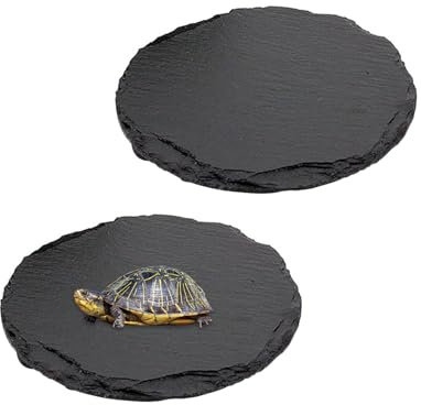 2 Stück Reptilien Plattform für Schildkröten Durchmesser15cm Sonnenplattform Futternapf Naturstein Ruheplattform für Schildkröte, Eidechse, Bartdrache, Gecko, Schlange