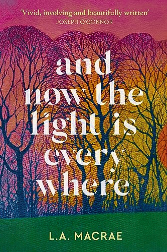 And Now the Light is Everywhere: A stunning debut novel of family secrets and redemption