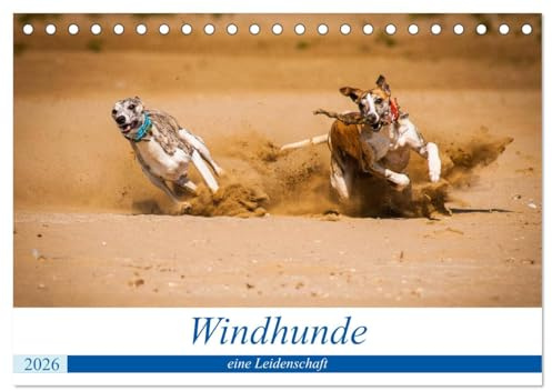 Windhunde - eine Leidenschaft (Tischkalender 2026 DIN A5 quer), CALVENDO Monatskalender: Es gibt viele verschiedene Windhundarten (CALVENDO Tiere)